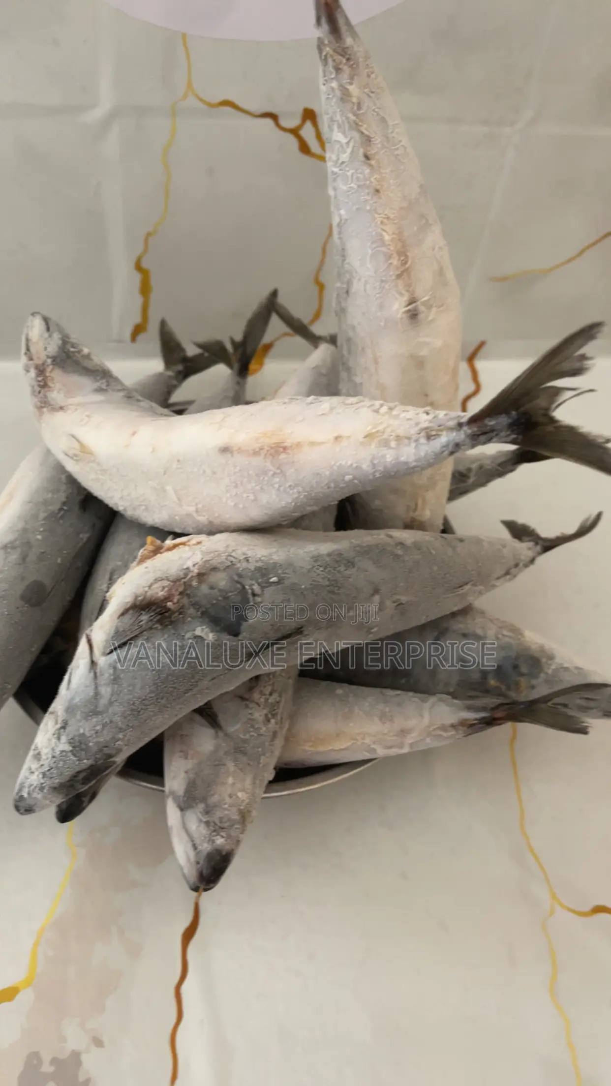 Fresh and Frozen Fish