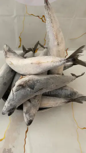 Fresh and Frozen Fish