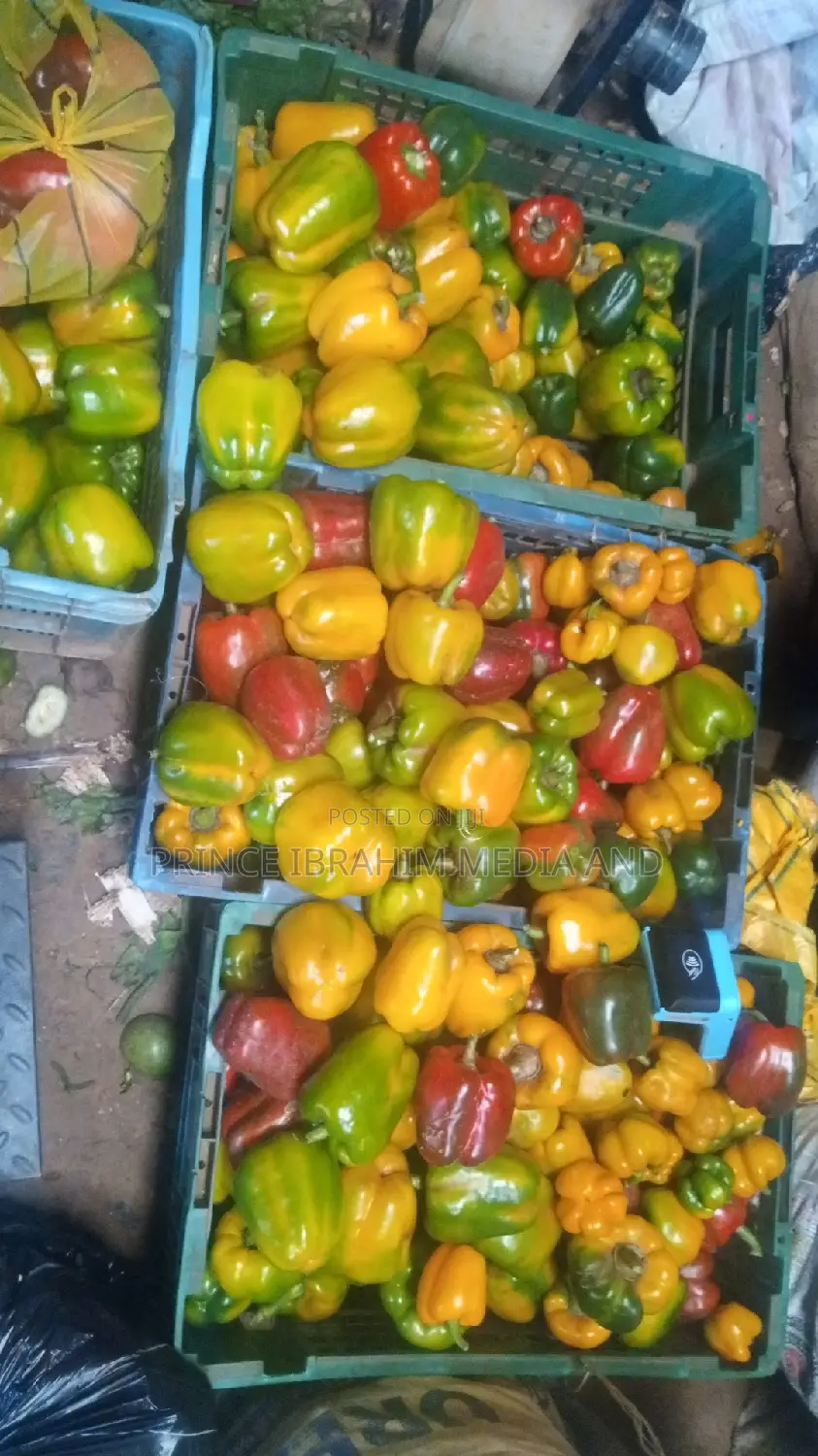 Fresh Bell Pepper