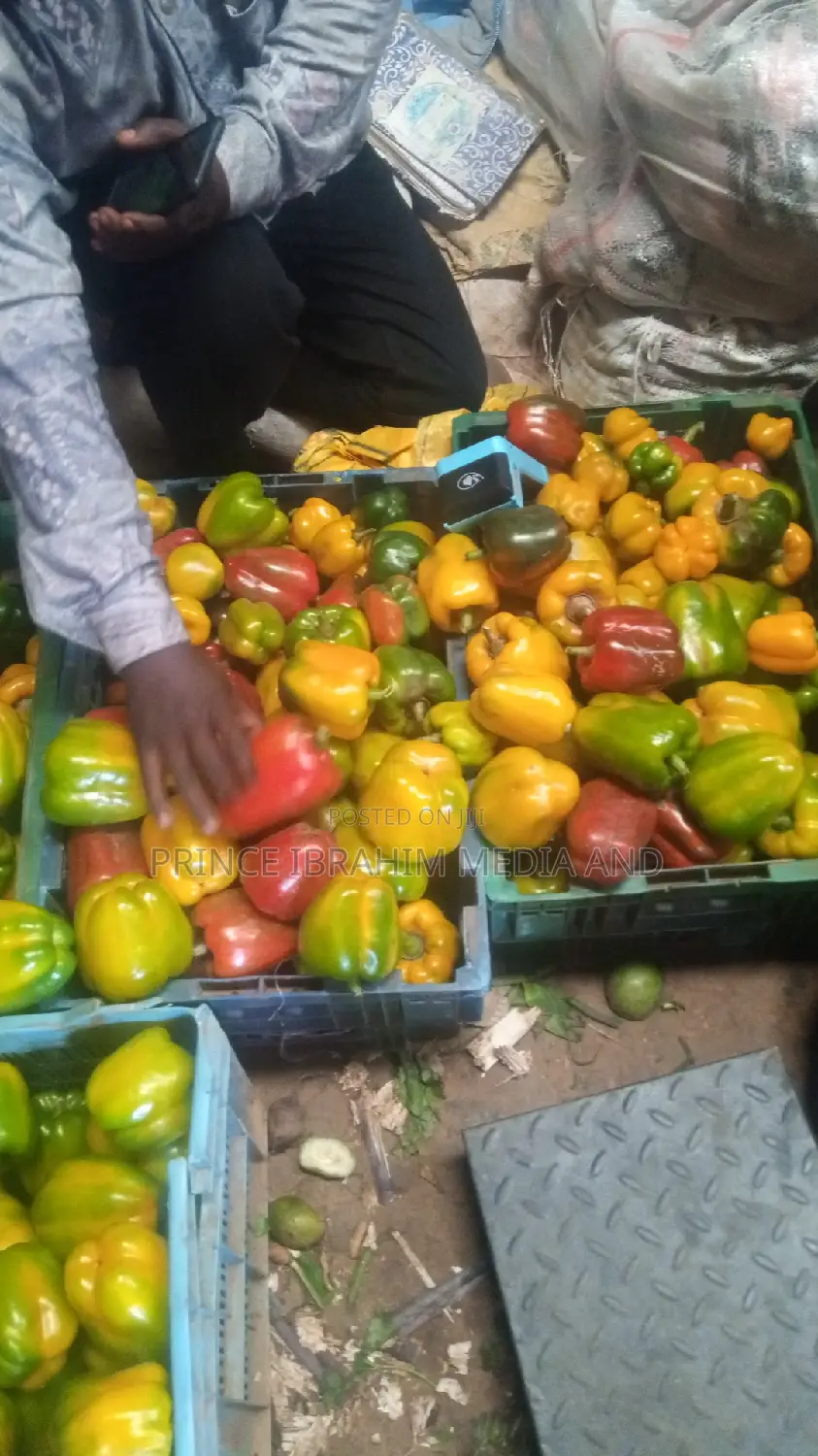Fresh Bell Pepper