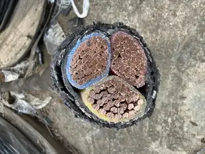 300mm 3core Armored Cable