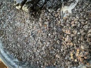 Iru/ Locust Beans