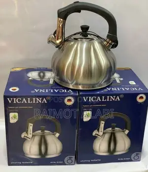 4.5l Vicalina Stainless Kettle