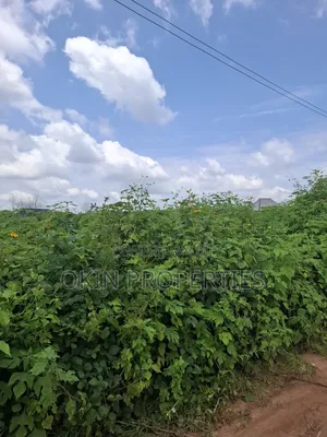 100 Acres at Alafon