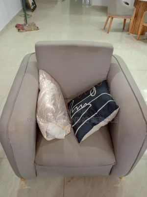 Dirty Sofas Can Cause Allergies, Smells, and Embarrassment—Don’T Wait!