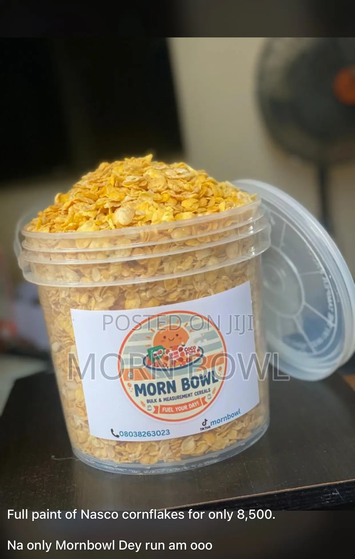 Nasco Cornflakes in Paint