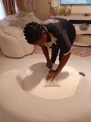 Bring Your Sofa Back To Life With Update Cleaning Service! Book Now!