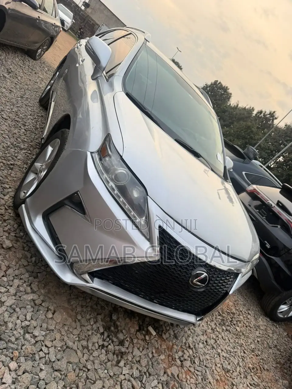 Lexus RX 2010 Gray
