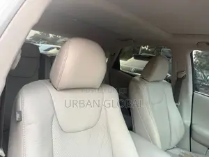 Lexus RX 2010 Gray