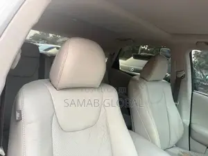 Lexus RX 2010 Gray