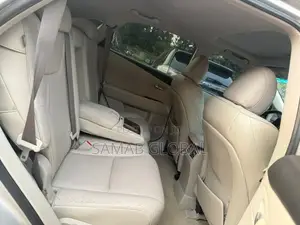 Lexus RX 2010 Gray
