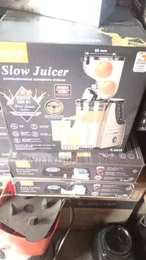 Raf 250watts Slow Juicer Fruit Extractor