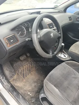 Peugeot 307 2006 Silver