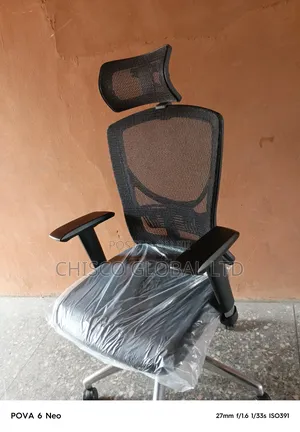 Ergonomic Chair