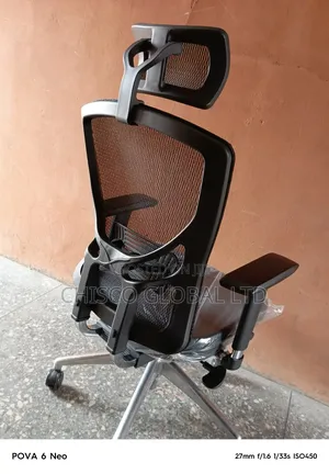 Ergonomic Chair