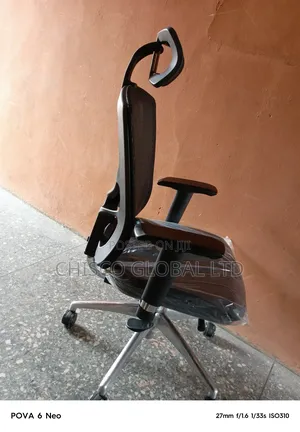 Ergonomic Chair