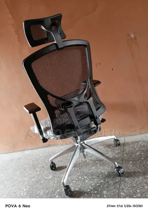 Ergonomic Chair