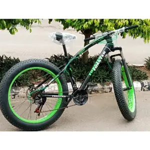 Fat Tyre Bicycle