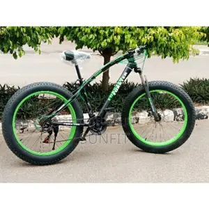 Fat Tyre Bicycle