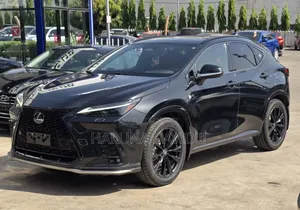 Lexus NX 2023 Black