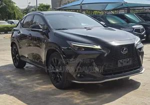 Lexus NX 2023 Black
