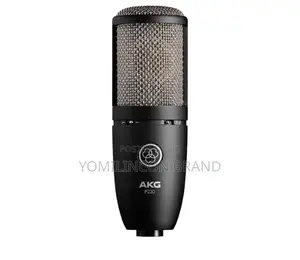 Akg Pro Audio P220 High-Performance Condenser Microphone
