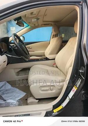 Lexus RX 350 2010 Gray