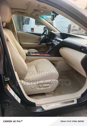 Lexus RX 350 2010 Gray