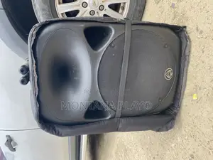 Powered Speakers With Wireless Microphones for Sell