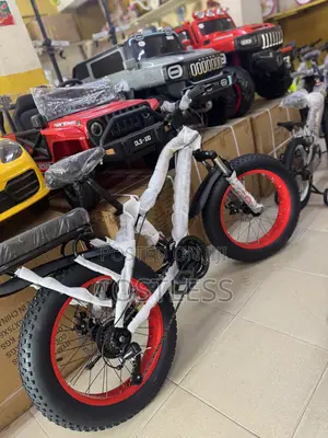 Fat Tire Bicycle