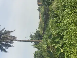 One Plot of Land for Sale at Awosun. 5 Min Work to the Express