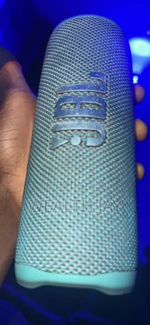 JBL Flip 6
