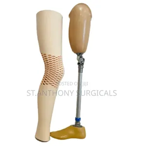 Artificial Legs, Prosthetics
