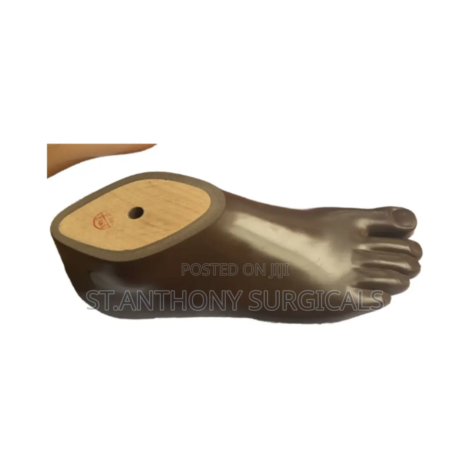 Artificial Legs, Prosthetics