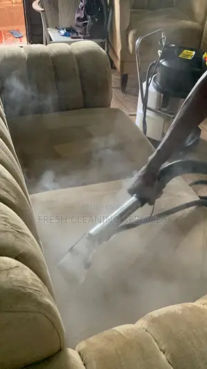 Professional Upholstery Cleaning and General Cleaning Services