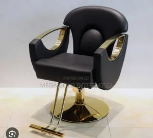 Outstanding Vip Saloon Chair