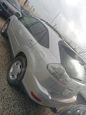Lexus RX 330 2006 Silver