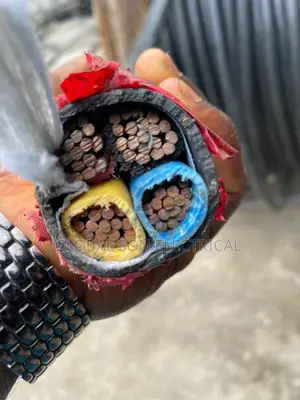 95mmx4core Nigerchin None Armored Cable