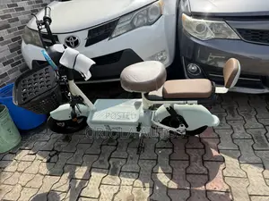 Electric Bike