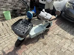 Electric Bike