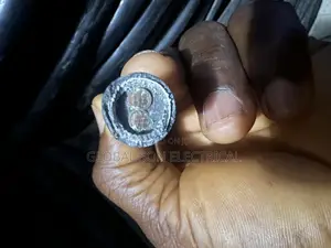 6mmx2core Armored Cable