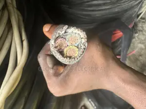 35mmx2core Coleman Armored Cable