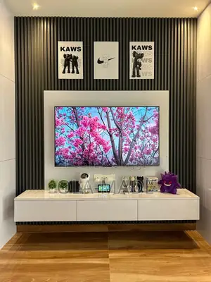 Wall Panel Tv Unit