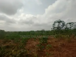 30 Acres Farmland With Cofo