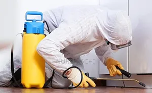 Bedbugs Fumigation Services