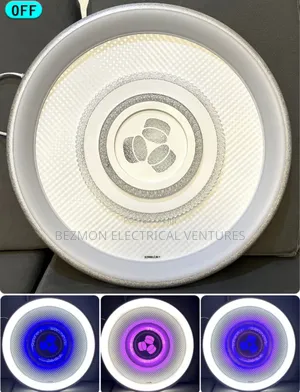 Unique Ceiling Fitting Available for Sale
