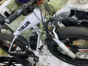 Electric Mecedes Bike