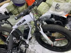 Electric Mecedes Bike