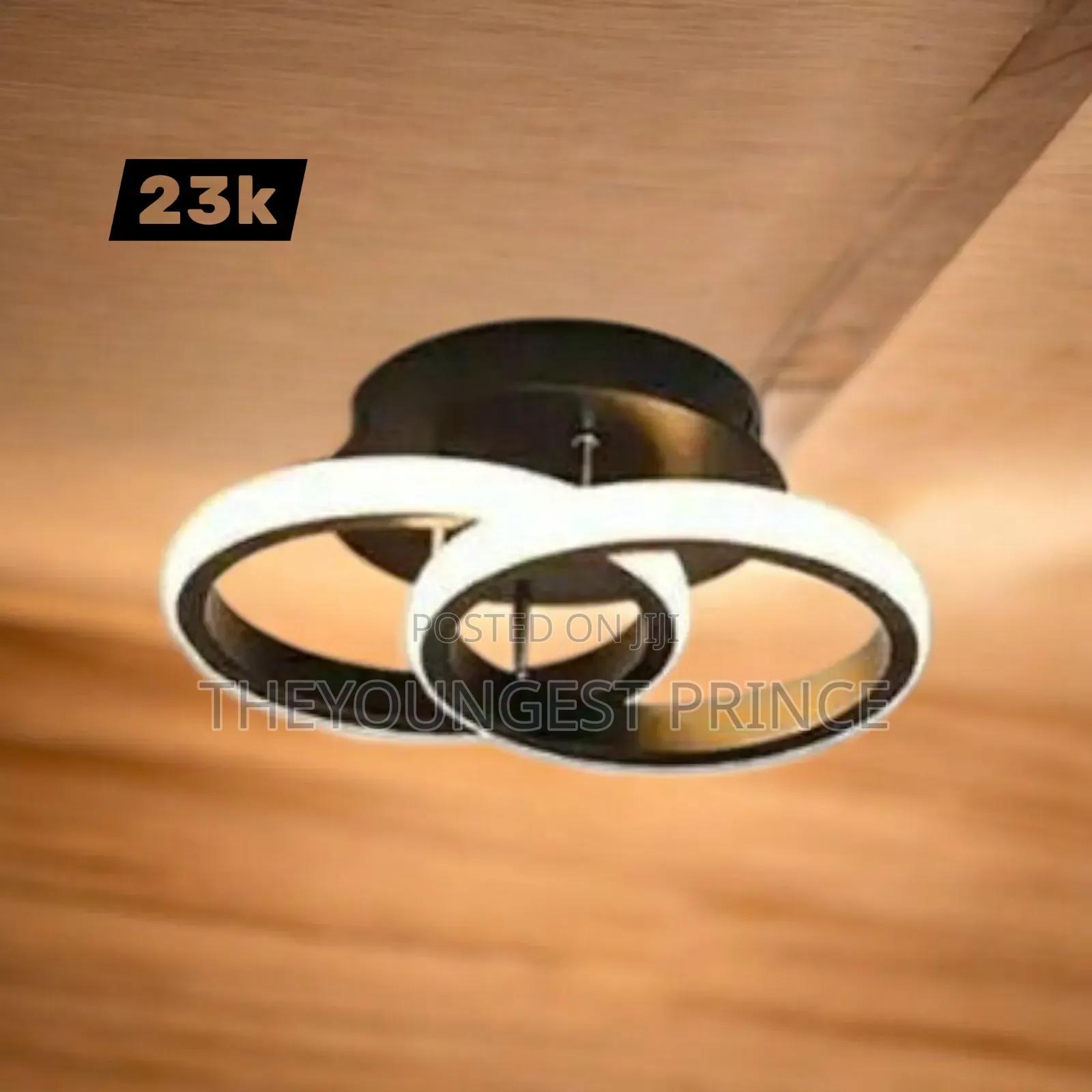 Ceiling Light