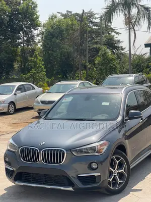BMW X1 2017 Blue